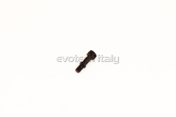 Afbeeldingen van Kick stand pivot screw Ducati Panigale V4