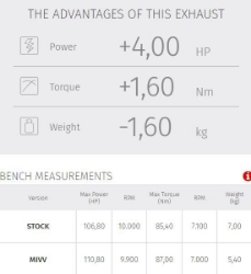 Afbeeldingen van MIVV 2-1 systeem met Delta Race carbon demper Yamaha MT-09 / SP '21-23