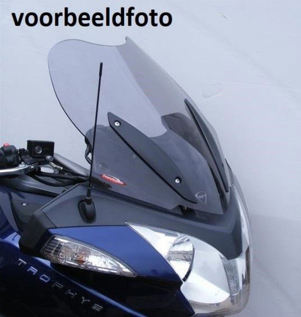 Afbeeldingen van Vervangingsruit standaard Triumph Trophy 1200 '13-'16-transparant