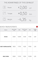 Afbeeldingen van MIVV X-Cone Black RVS demper Honda CB600F '03-06