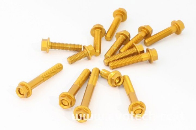 Afbeeldingen van Blokboutenset Evotech aluminium (set) Aprilia RS4 125 '06-'14