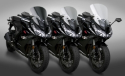 Afbeeldingen van Vervangingsruit National Cycle sport/touring licht getint Kawasaki Z1000SX '11-16