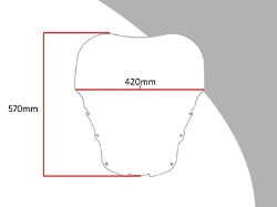 Afbeeldingen van Vervangingsruit touring Honda CBR1100XX Blackbird '97-