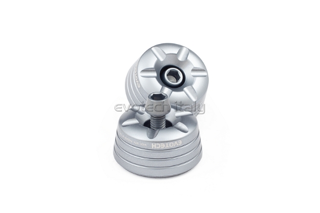 Afbeeldingen van Trillingsdempers Evotech diverse Triumph - titanium