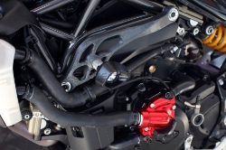 Afbeeldingen van Sliders Evotech Anti-Shock Ducati Monster 821 / 1200 R