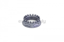 Afbeeldingen van Achterwielmoer aluminium Evotech TB-012-P