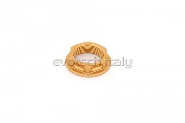 Afbeeldingen van achterwielmoer aluminium Evotech TB-028-Goud