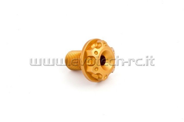 Afbeeldingen van Voorasbout Evotech TB-060-Goud