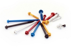 Afbeeldingen van Aluminium boutje model TER M8x55